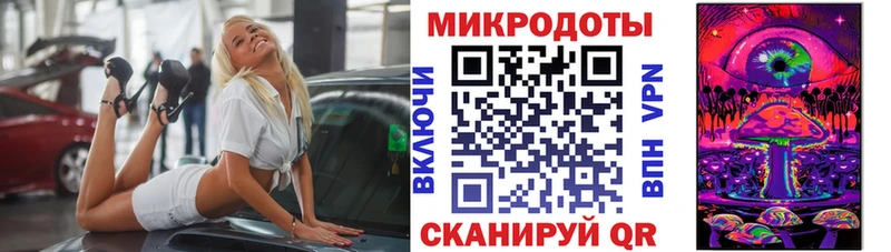 Купить где  Кущёвская  Псилоцибиновые грибы MAGIC MUSHROOMS 
